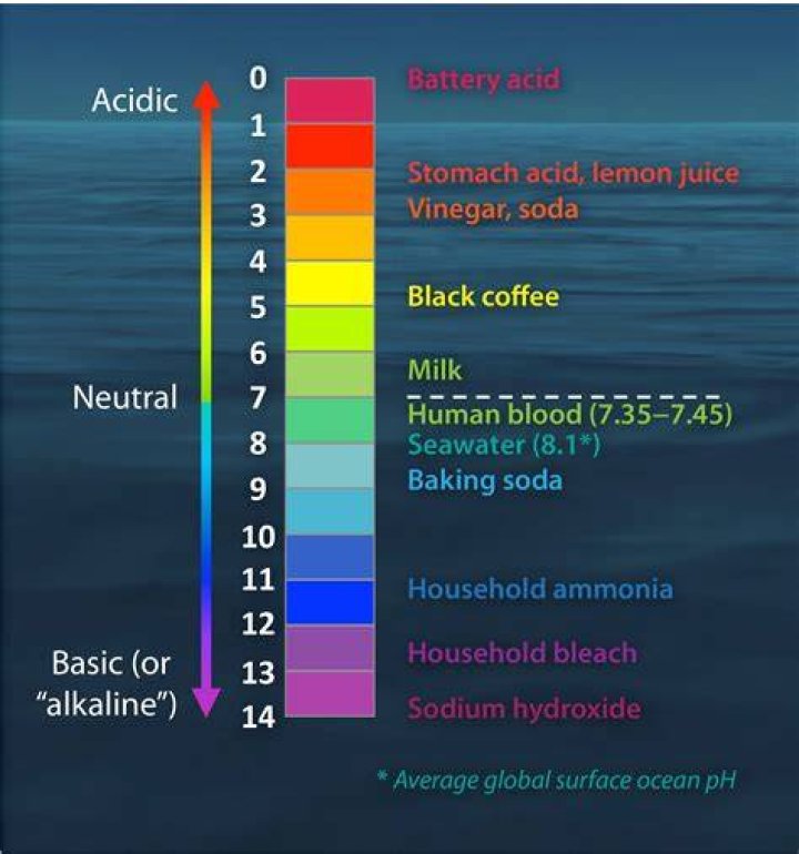 Is the ocean acidic or basic?