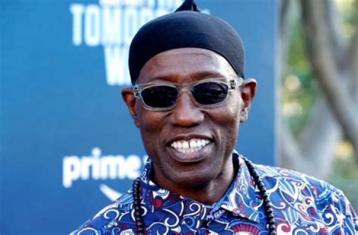 Is Wesley Snipes Sick? Current Update about Wesley Snipes Health