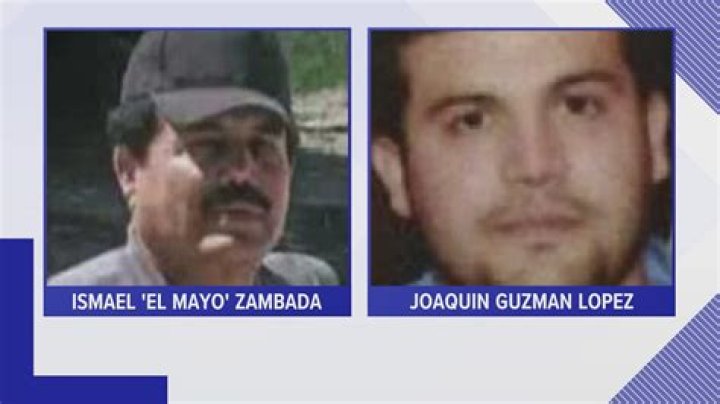 Ismael El Mayo Zambada Net Worth And Associate Drug Lords by Samuel