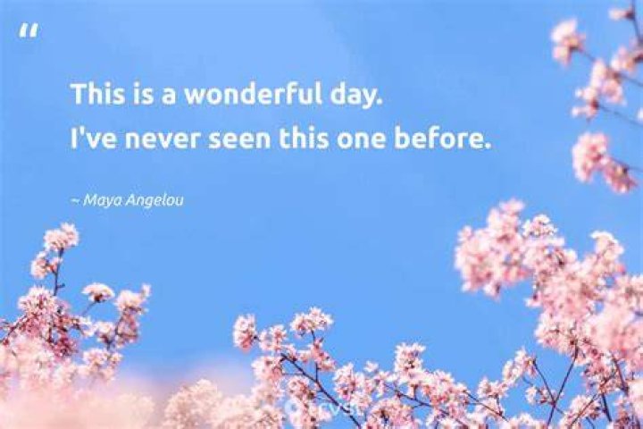 Its A Beautiful Day Quotes. QuotesGram