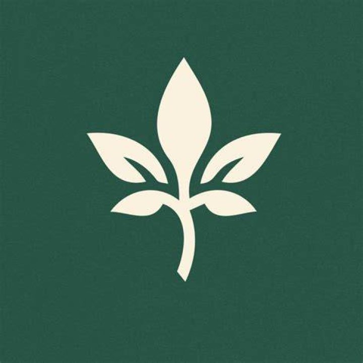 Ivy YouTube