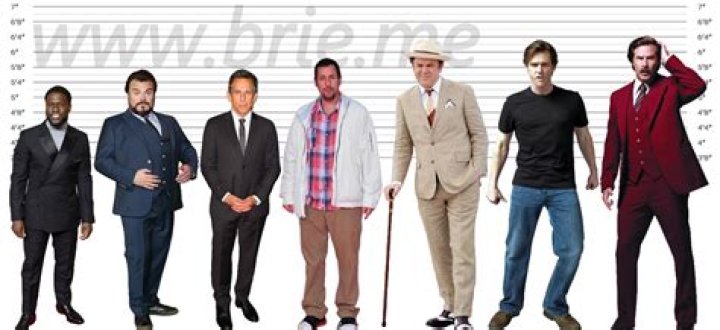 Jack Black Height Brie