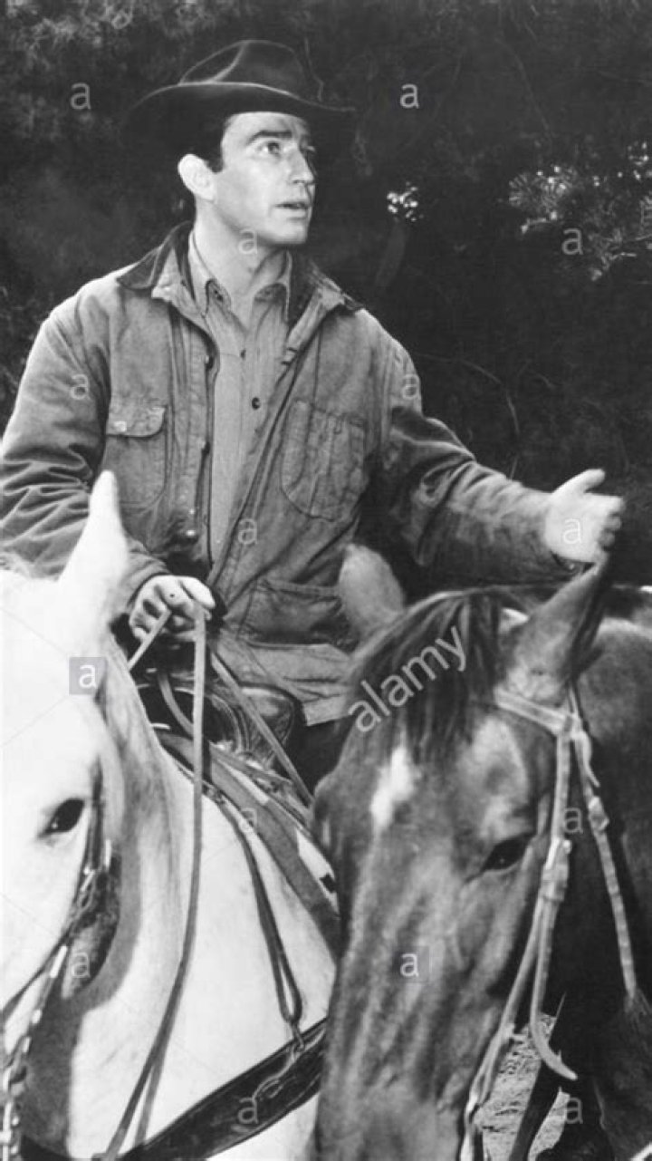 James Drury The Virginian James drury, Hey handsome, The virginian