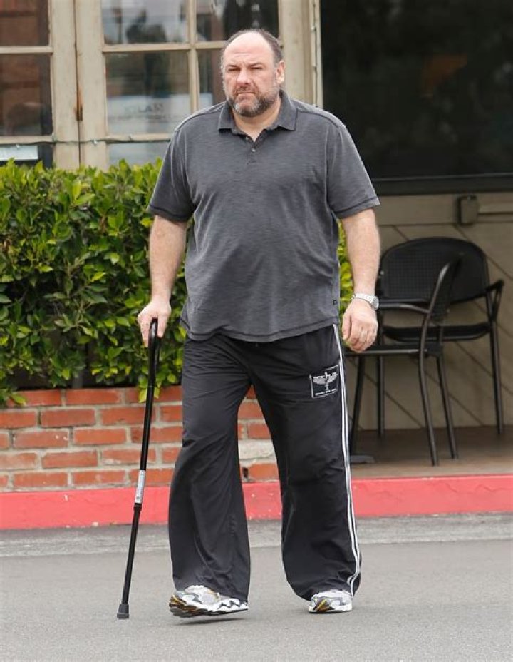 James Gandolfini Height, Weight, Interesting Facts, Career Highlights