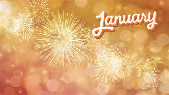 January Gessert January Gessert Photos January Gessert Out and