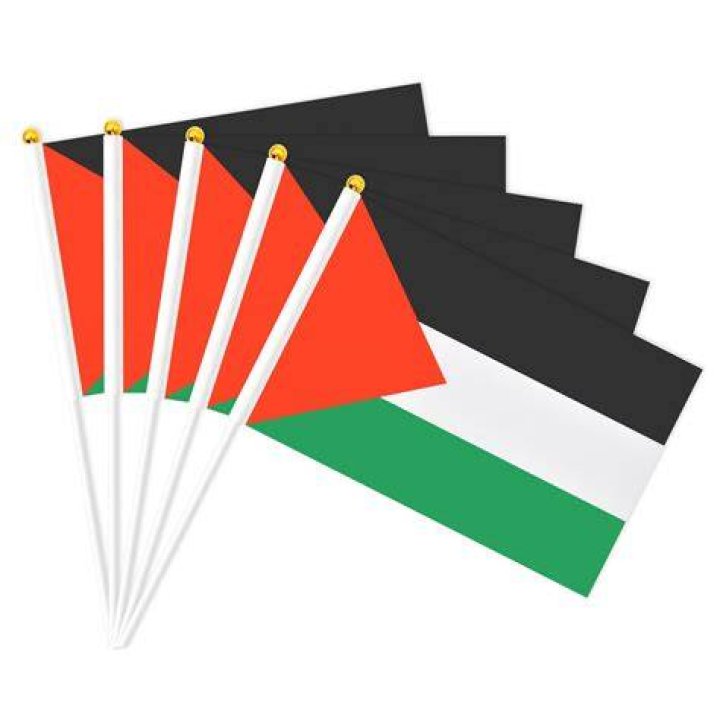 Jason Statham lookalike sticks Palestine flag on car in viral video