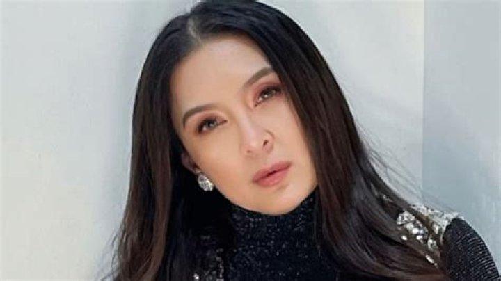 Jean Garcia's son Kotaro Shimizu celebrates birthday GMA Entertainment