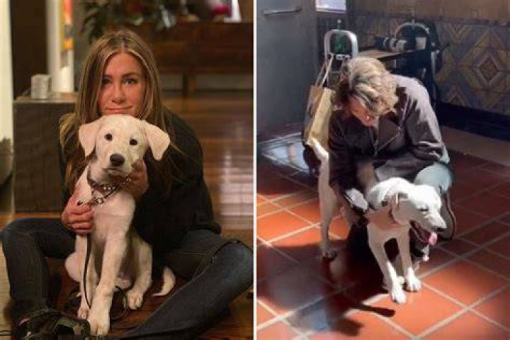 Jennifer Aniston fans suspect she's secretly BACK with ex John Mayer