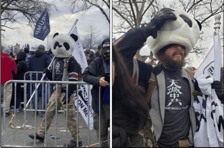 Jesse James Rumson, known as Sedition Panda, arrested for allegedly