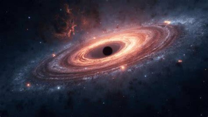 Jocelyn Savage: Discoveries & Insights Uncovered