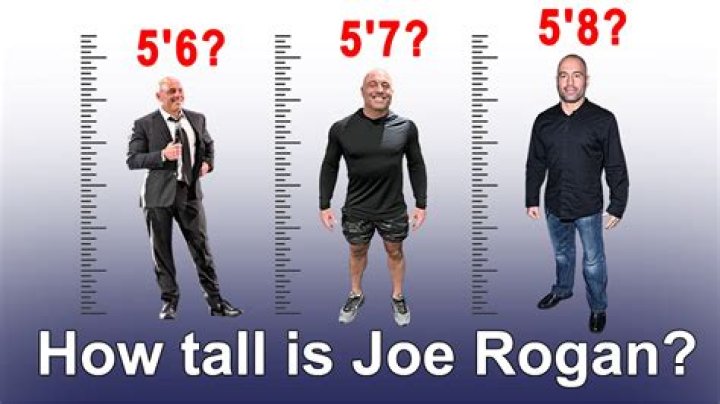 Joe Rogan Height Comparison Harry Pennell Blog
