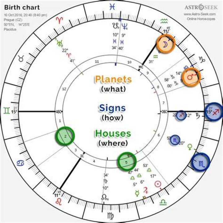 Joe Wilkinson Birth Chart Aaps.space