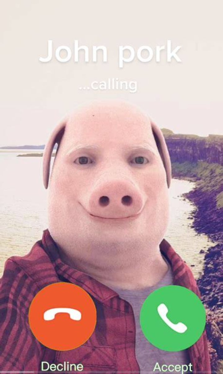 John Pork is calling meme explained as TikTok mourns 'death' of viral pig