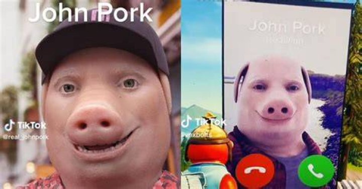 John Pork Loraxian Wiki Fandom