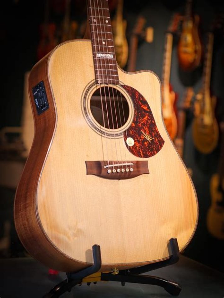 John Waite Maton Guitars Australia