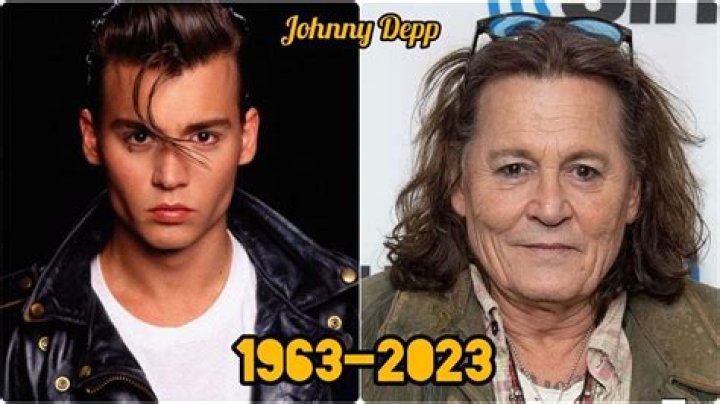 Johnny Depp in a new relationship Who is his girlfriend, Joelle Rich