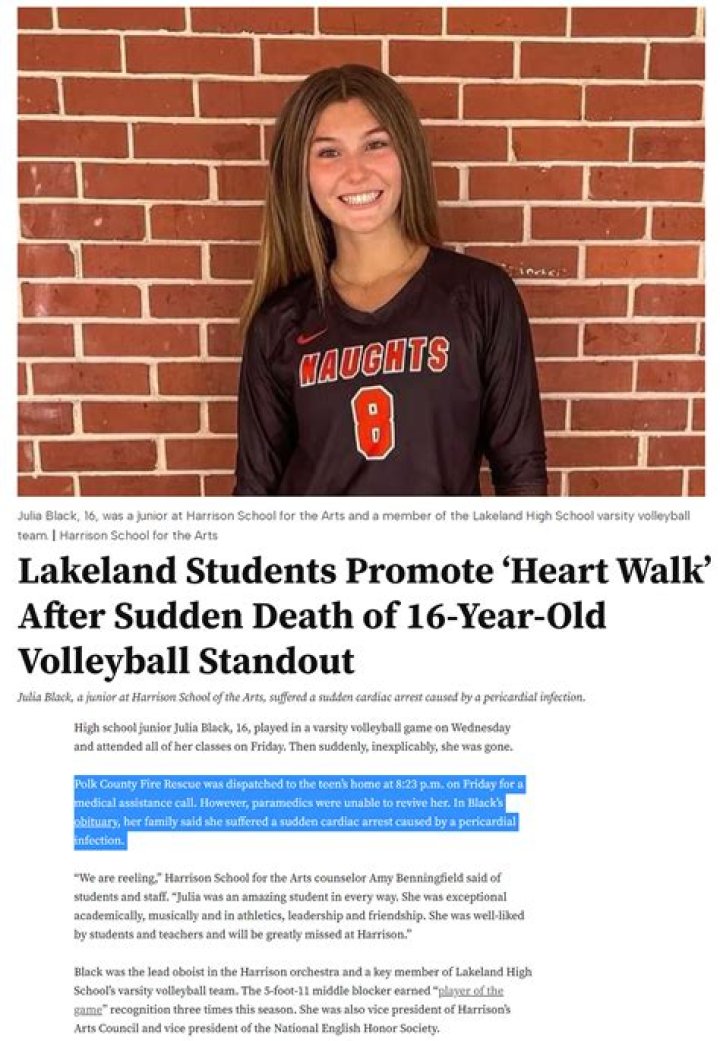 Julia Black Lakeland Fl Car Accident Linked To Death, Obituary