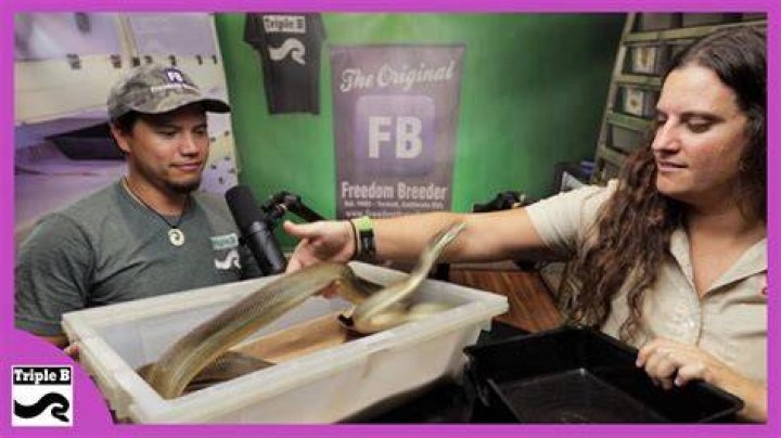 Juliette Brewer of Prehistoric Pets Triple B TV Ep.256 YouTube
