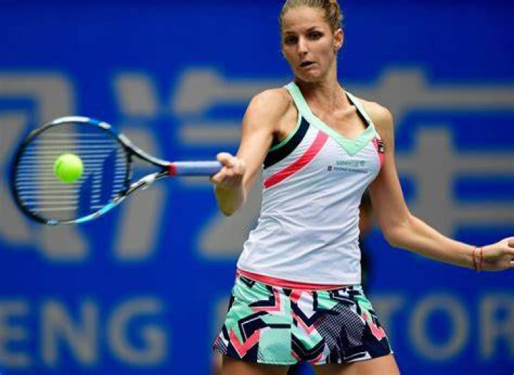 Karolina Pliskova's Husband Michal Hrdlicka (Bio, Wiki)