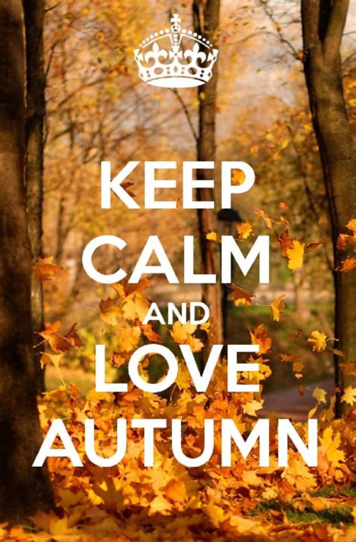 Keep Calm and Fall in Love with Nathaniel Buzolic... again and again