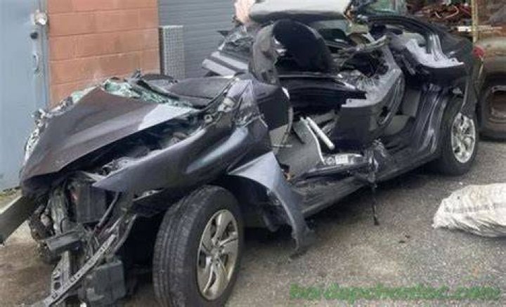Kelsey Grennan Car Accident Injury And Health Update 2023