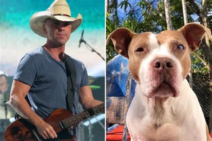 Kenny Chesney to Release Charitable Song in Honor of Late Dog Ruby