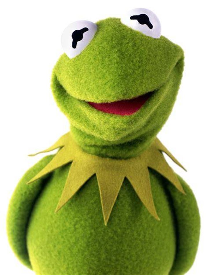 Kermit the Frog Disney Wiki
