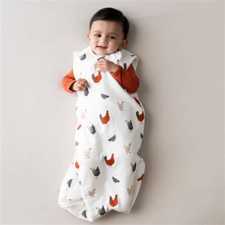Kyte Baby 1.0 TOG Sleep Bags
