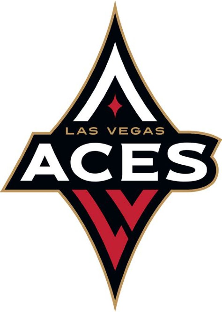 Las Vegas Aces' Chelsea Gray and Her Wife Are Expecting