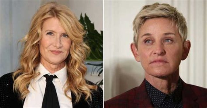 Laura Dern Recalls Backlash Over Playing Gay Character on 'Ellen'