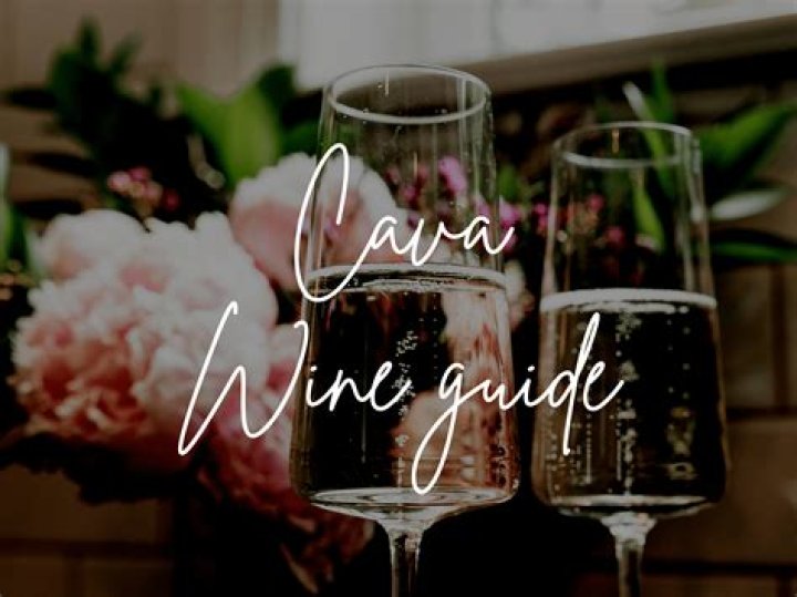 Learn More About Cava Wine WineFolly