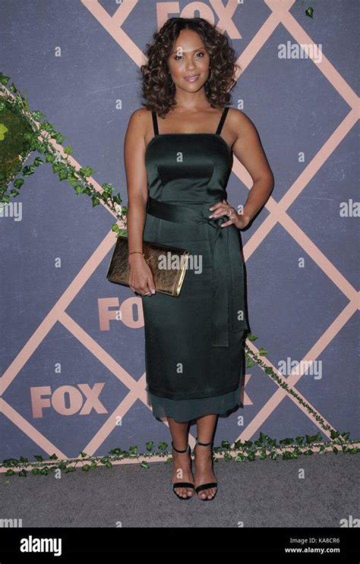 Lesley Ann Brandt Fox Fall 2017 Premiere Party in Los Angeles