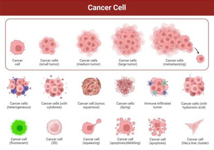 Lesson 3 How Does Cancer Cause Death Lesson 3 How Does Cancer Cause
