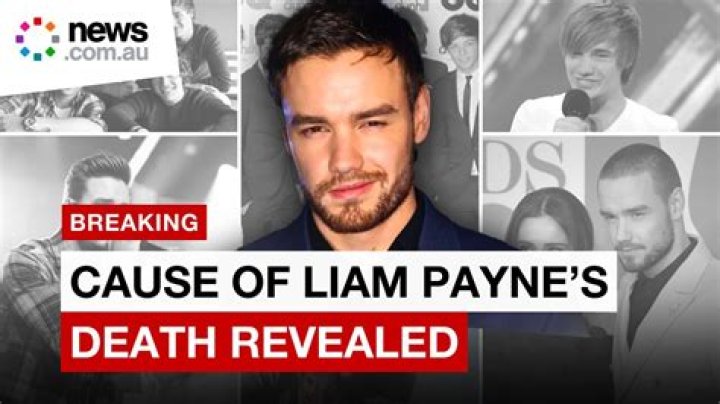 Liam Payne Biography Wiki Wiki