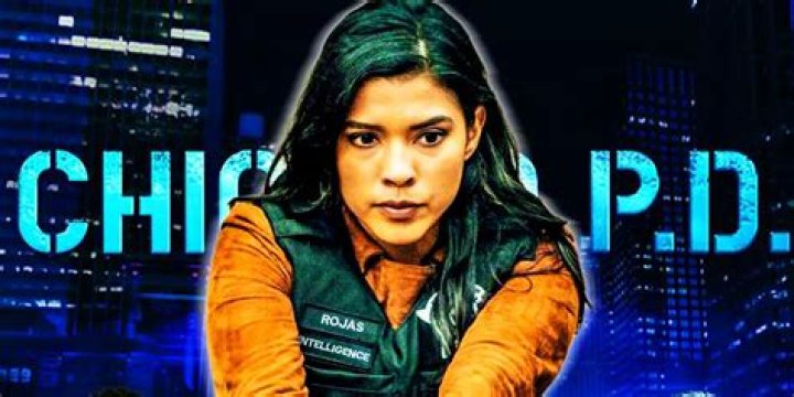 Lisseth Chavez Facts, Bio, Career, Net Worth AidWiki