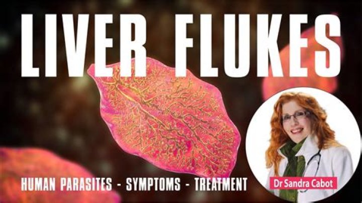 Liver Flukes ?? On CureZone Image Gallery