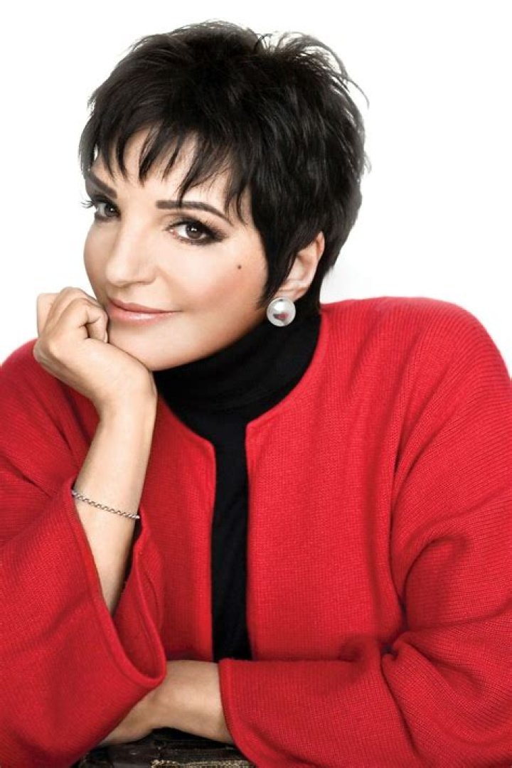 Liza Minnelli review Even without big notes, singer wows