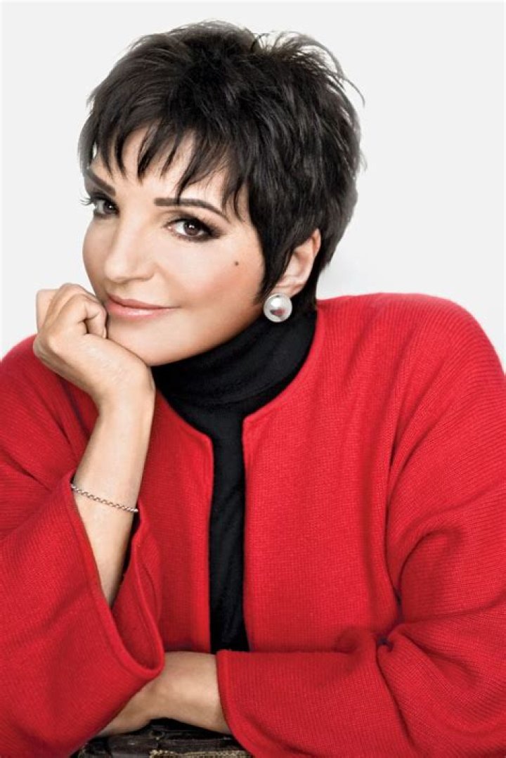 Liza Minnelli 'Hit Me Over The Head' If You Hear I'm Getting Married