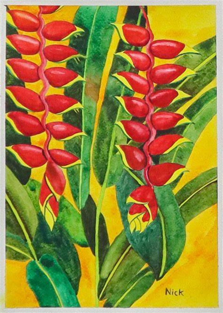 LOCAL ARTS Nicole Power&rsquo;s Island Pride Newfoundland Herald