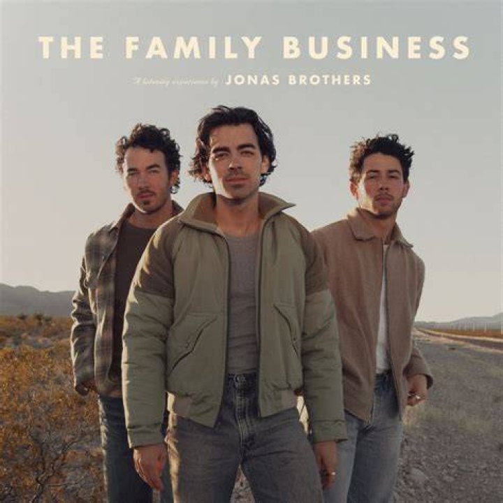 &lrm;The Album Album by Jonas Brothers Apple Music