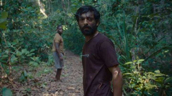 &lsquo;Kaala Paani&rsquo; series review Ambitious survival drama reaches the shore