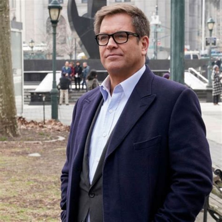 ‘NCIS’ Star Michael Weatherly ‘Chased’ His Future Wife & She Didn’t