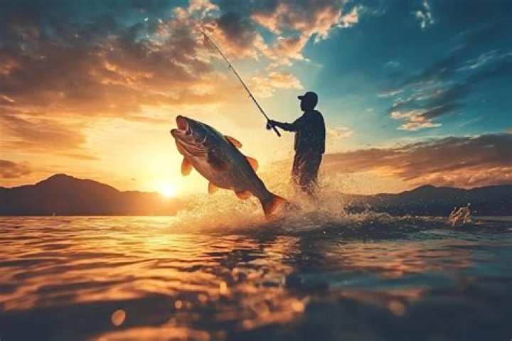 Lucky Fisherman Catches Big Fish Worth KSh 450m Tuko.co.ke