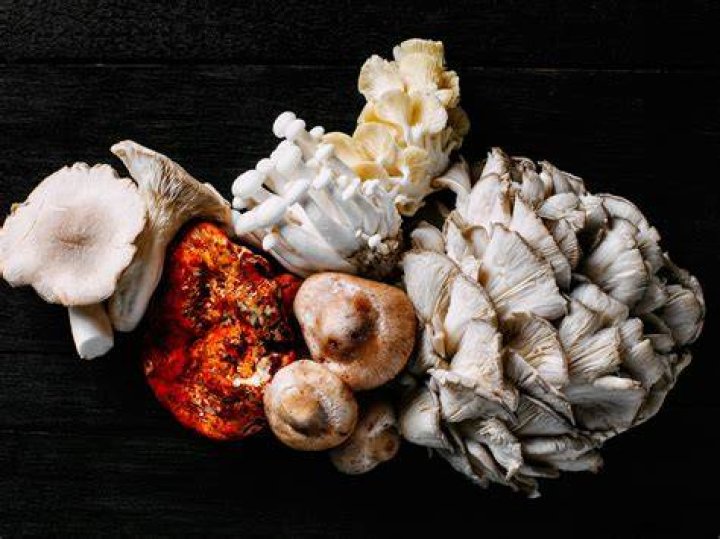 Mad for Mushrooms! DinnerTime