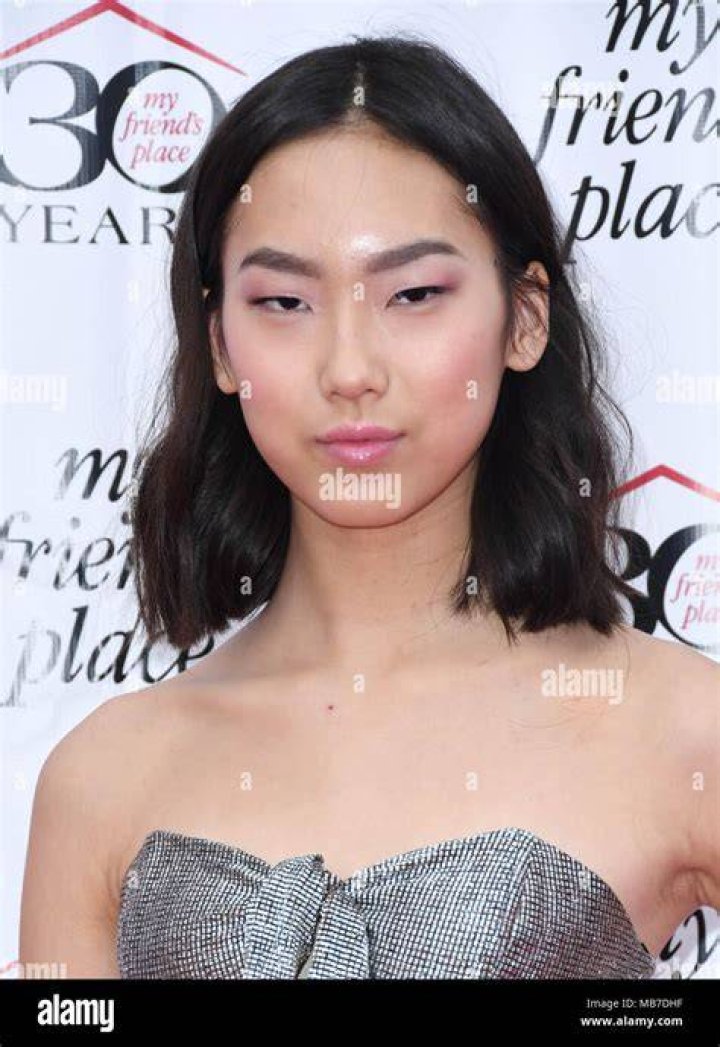 Madison Hu My Friend&rsquo;s Place 30th Anniversary Gala in LA &bull; CelebMafia