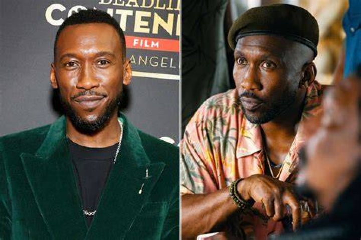 Mahershala Ali from Celebs Who Became Dads in 2017 E! News