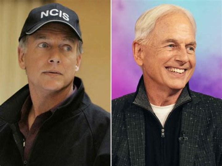 Mark Harmon Mark Harmon, Ncis Stars, Tv Stars, Movie Stars, E Ca, Leroy