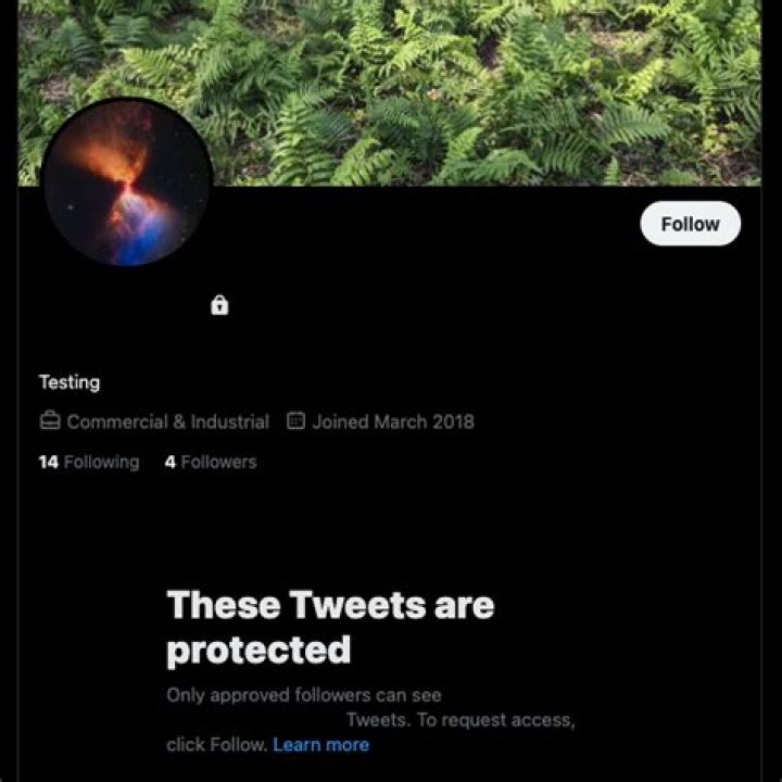 MarkusCae (markusCae) Twitter Tweets &bull; TwiCopy