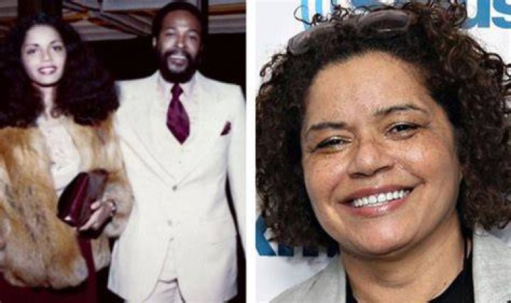 Marvin Gaye Wife: Jan Gaye And Anna Gordy Gaye Marvin Gaye Wife