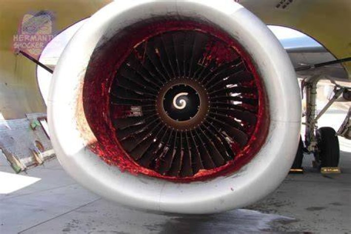 Mechanic sucked into a jet engine Herman The Shocker